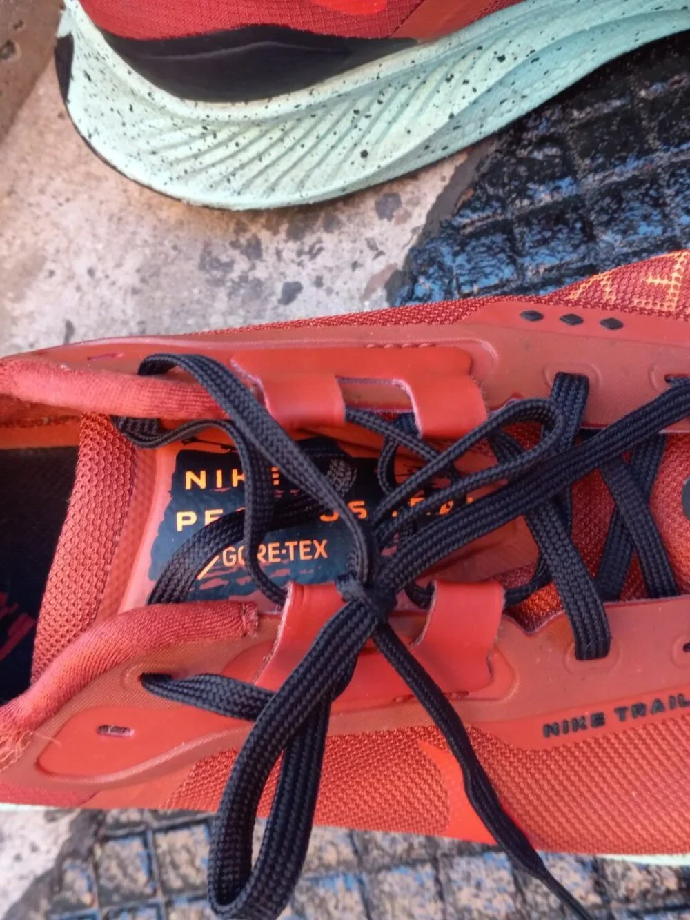 Nike Pegasus Trail 3 GTX GORE-TEX Rugged Orange Size 12 DC8793-800 Waterproof
